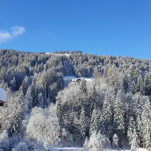  Apartment Les 3 Cols Morzine, 2 Pieces, 2 Personnes